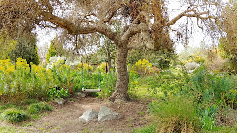 Sierra Azul Nursery-Garden, 