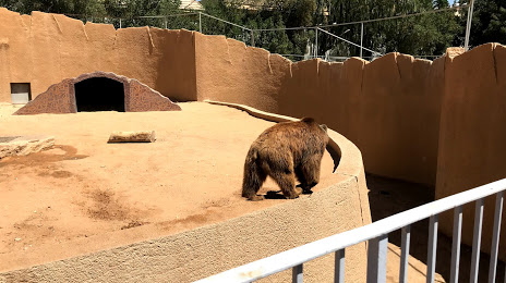 حديقة الحيوانات, الرياض