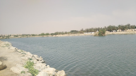 Wadi Hanifa Park, Riyadh
