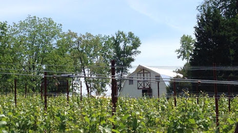 New Market Plains Vineyards, 