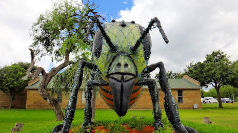 Worlds Largest Killer Bee, McAllen
