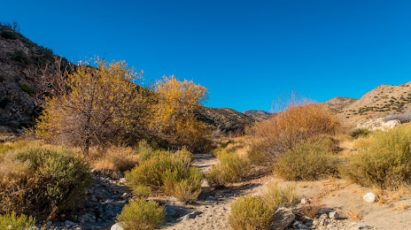 Pioneertown Mountains Preserve, Yucca Valley