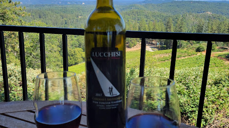 Lucchesi Vineyards & Winery, 