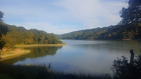 Briones Reservoir, Пинол