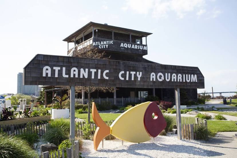 Atlantic City Aquarium, Atlantic City