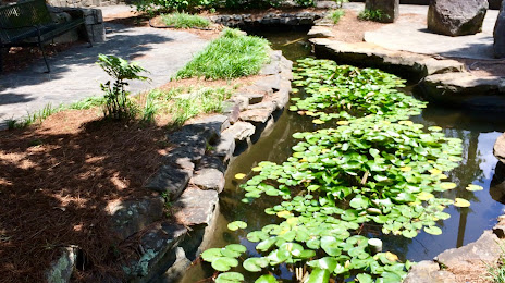Lewis Vaughn Botanical Gardens, Conyers
