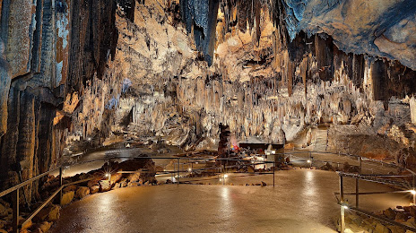 DeSoto Caverns, Силакога