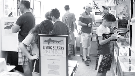 Living Sharks Museum, 