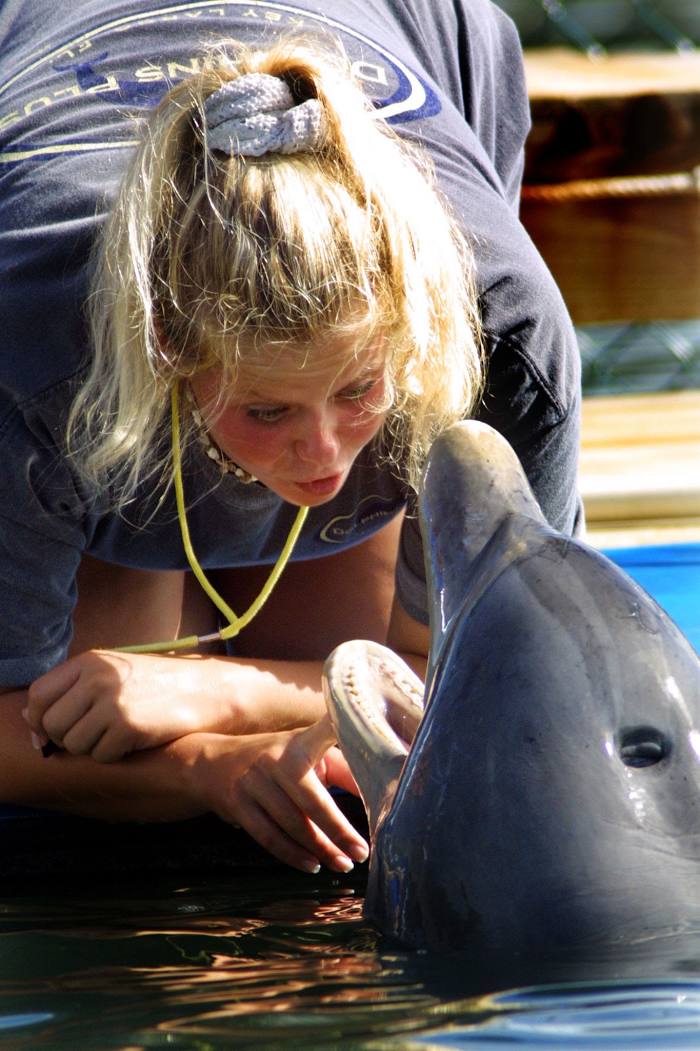 Dolphins Plus Marine Mammal Responder, 