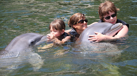Island Dolphin Care, 