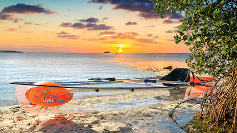 Tropic Water Sports - Jet Ski Rental, 