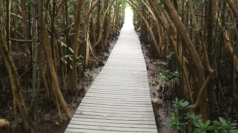 Beachwood Mangroves Nature Reserve, Дурбан