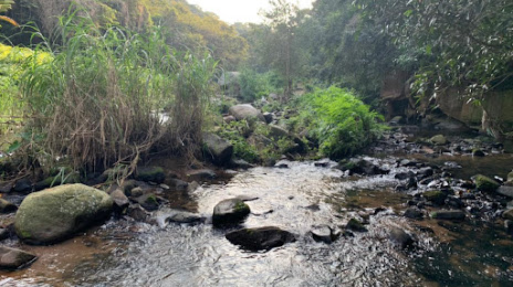 Palmiet Nature Reserve, Durban