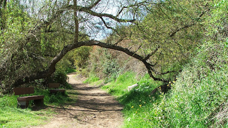 George F Canyon Nature Center and Preserve, Lomita