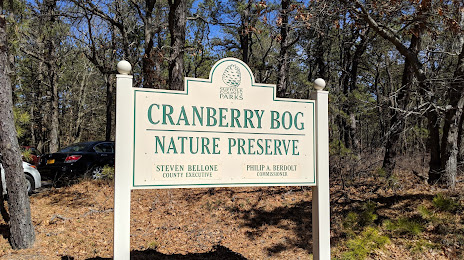Cranberry Bog, 