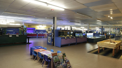 Biomes Marine Biology Center, Север Кингстаун