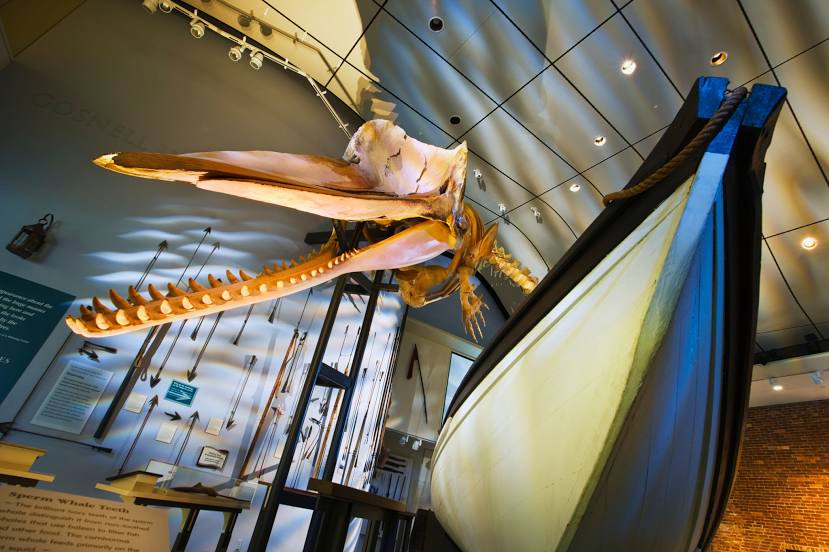 Музей китобойного промысла, Нантакет