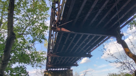 Cartersville Bridge, 