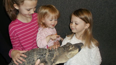 The Reptile & Amphibian Discovery Zoo, Оуотонна