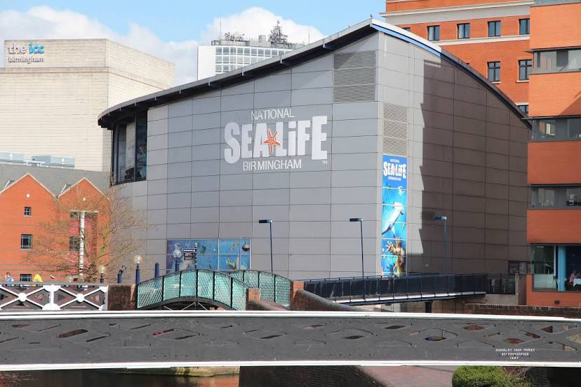 National SEA LIFE Centre Birmingham, 
