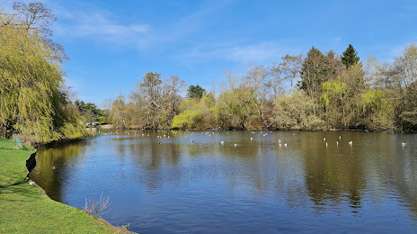 Brueton Park Lake, Birmingham