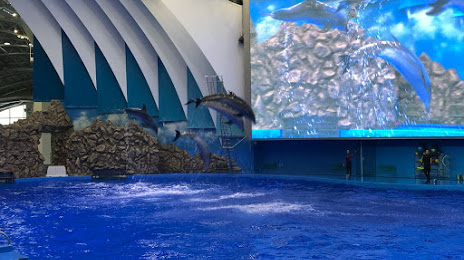 Vladivostokskii Oceanarium, 