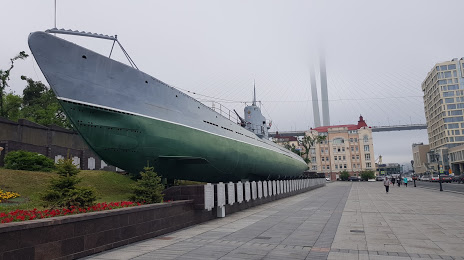 Мемориальная Гвардейская Краснознамённая подводная лодка С-56, Владивосток