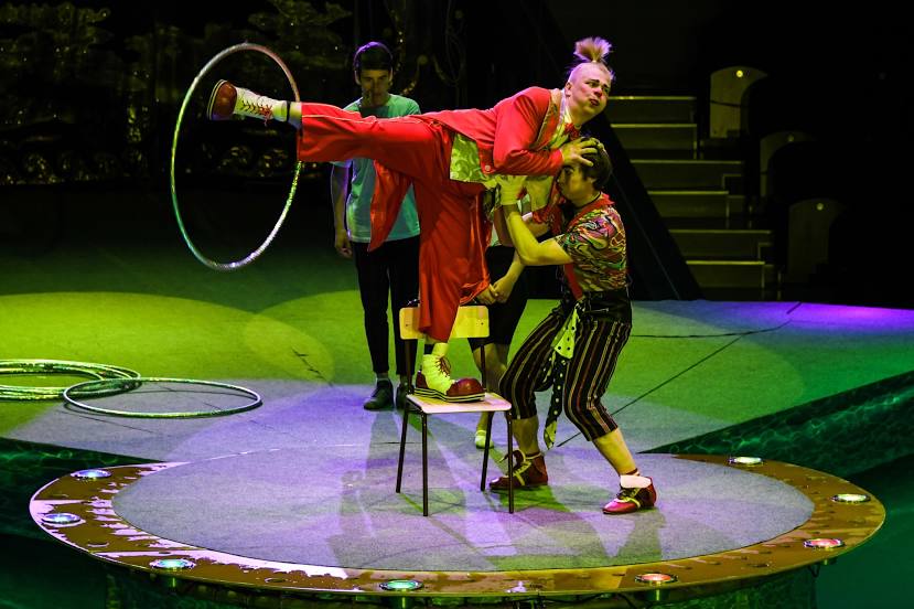 Vladivostok Circus, 