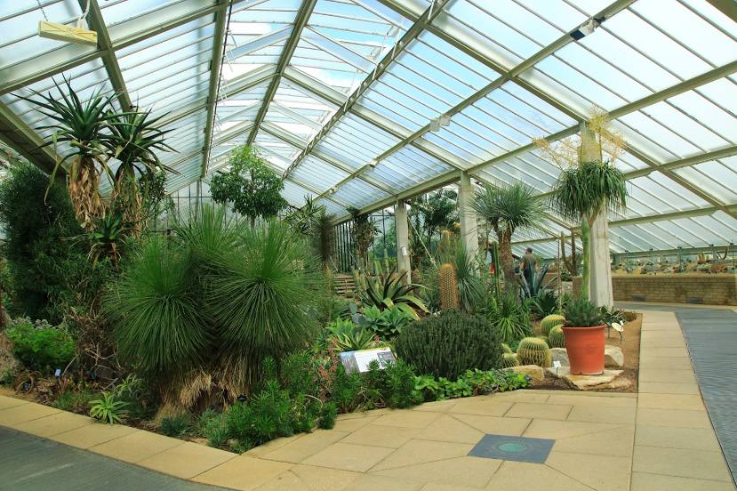 Princess of Wales Conservatory, Brentford