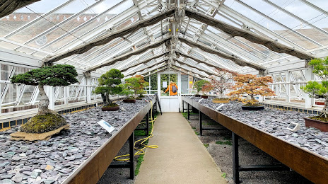Bonsai House - Kew Gardens, 