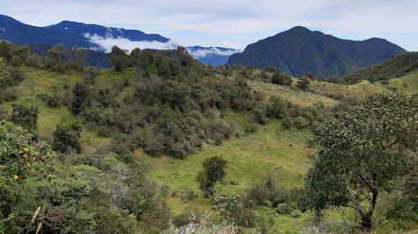 Yanacocha Biological Reserve, Quito