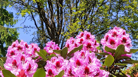 Rhododendron Park, Bad Zwischenahn