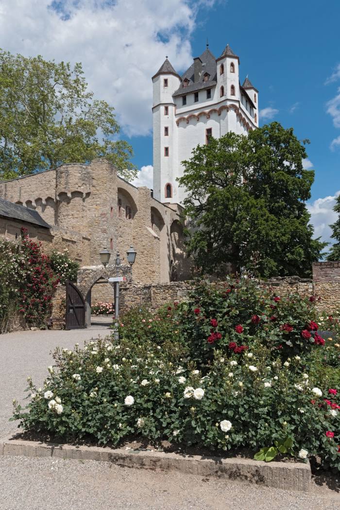 Electoral Castle, Eltville am Rhein