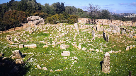 Necropoli di Li Muri, Arzachena