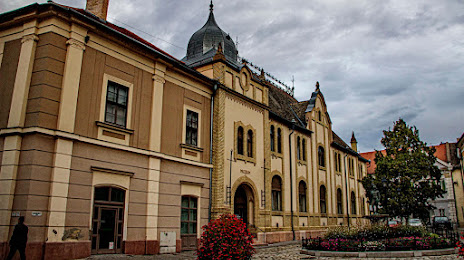 Türr István Museum, Бая
