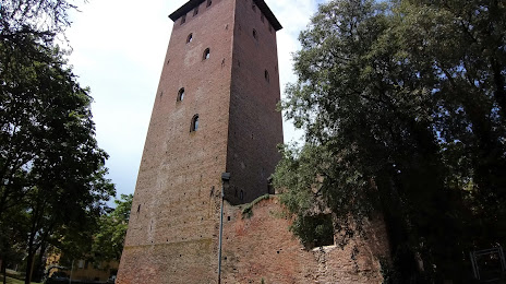 Torre dei Bolognesi - Museo di Nonantola (Museo di Nonantola - Torre dei Bolognesi), 
