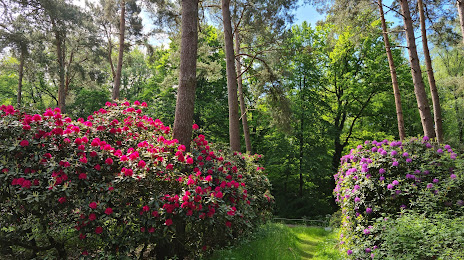 Rhododendronwald, Дюльмен