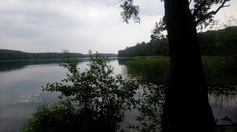 Jezioro Krosino, Zlocieniec