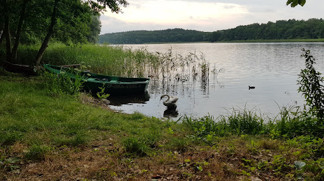 Jezioro Wilczkowo, Zlocieniec