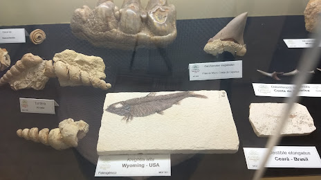 Museu de Geologia da UTAD, 
