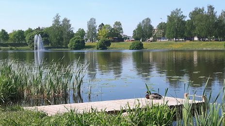 Paala järv, Viljandi