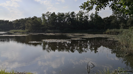 Lagoni di Mercurago Natural Park, Sesto Calende