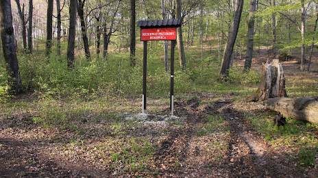 Nature reserve Bukowica (Rezerwat przyrody Bukowica), Chrzanow