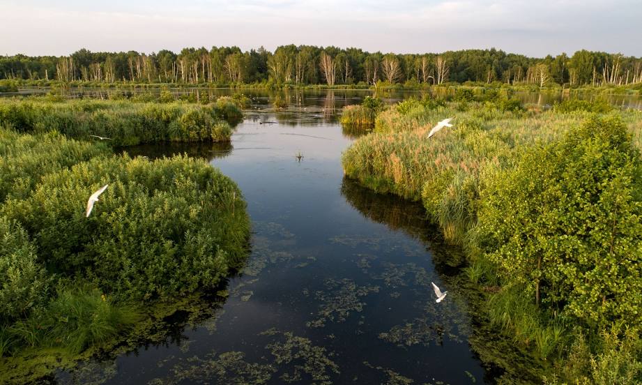 National Park «Elk Island», Moscú