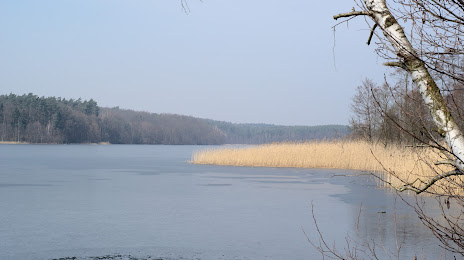 Bachotek (Jezioro Bachotek), Brodnica