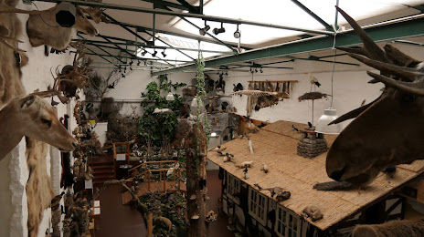 Erlebnismuseum Lernort Natur, 