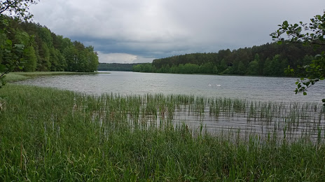 Jezioro Dąbrowskie, 