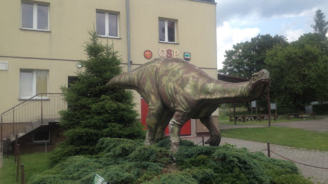 Muzeum Paleontologiczne w Lisowicach, Lubliniec