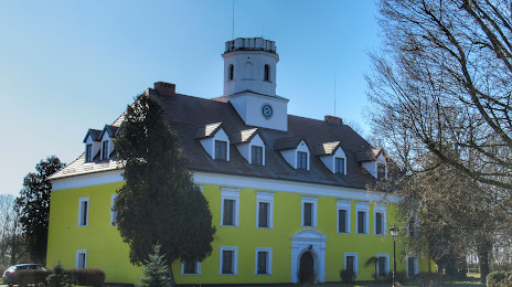 Pałac w Wierzbiu, 