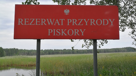 Rezerwat przyrody Piskory, Pulawy